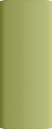 04161001_ironstone_china_brief_history_spode_ironstone_china001010.gif